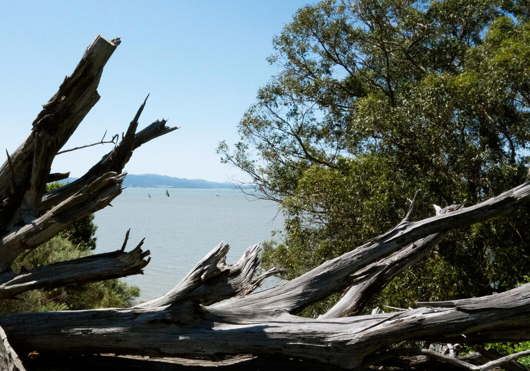 point pinole 3