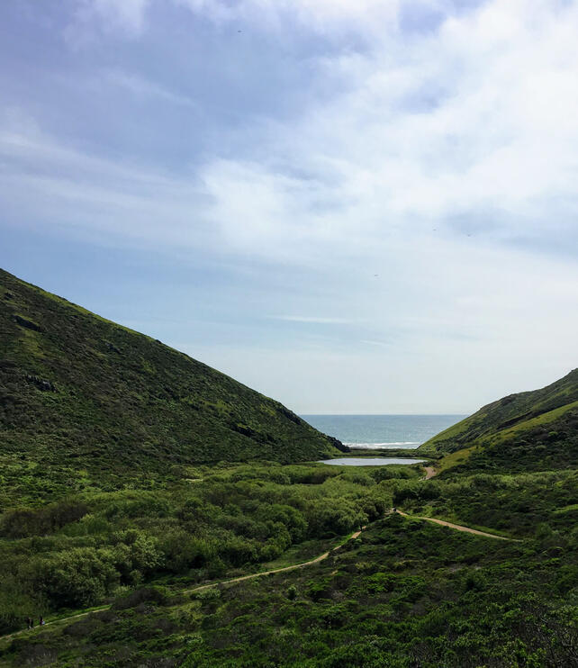 point reyes 1
