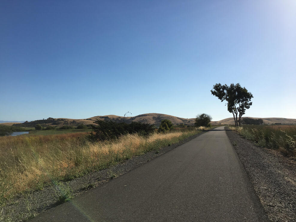 alameda creek trail 1