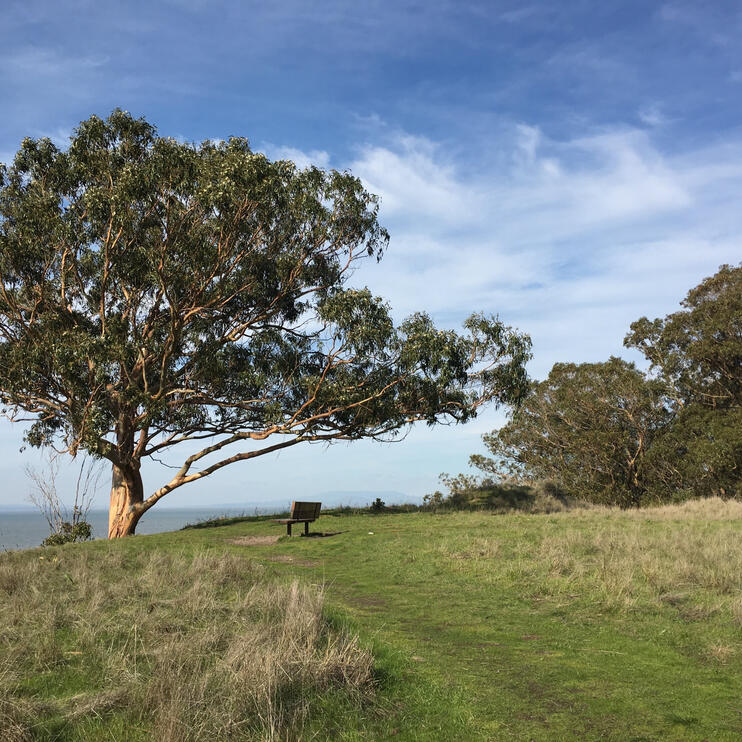 point pinole 1