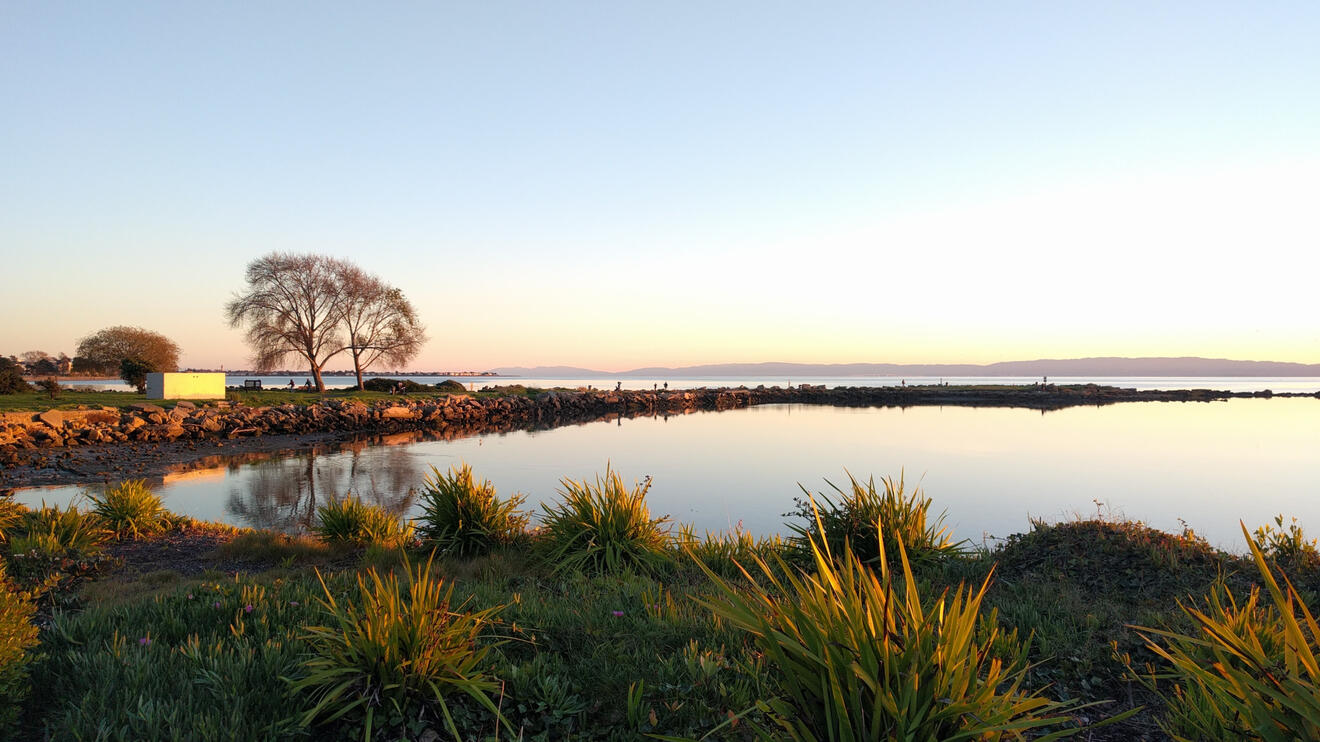 crab cove