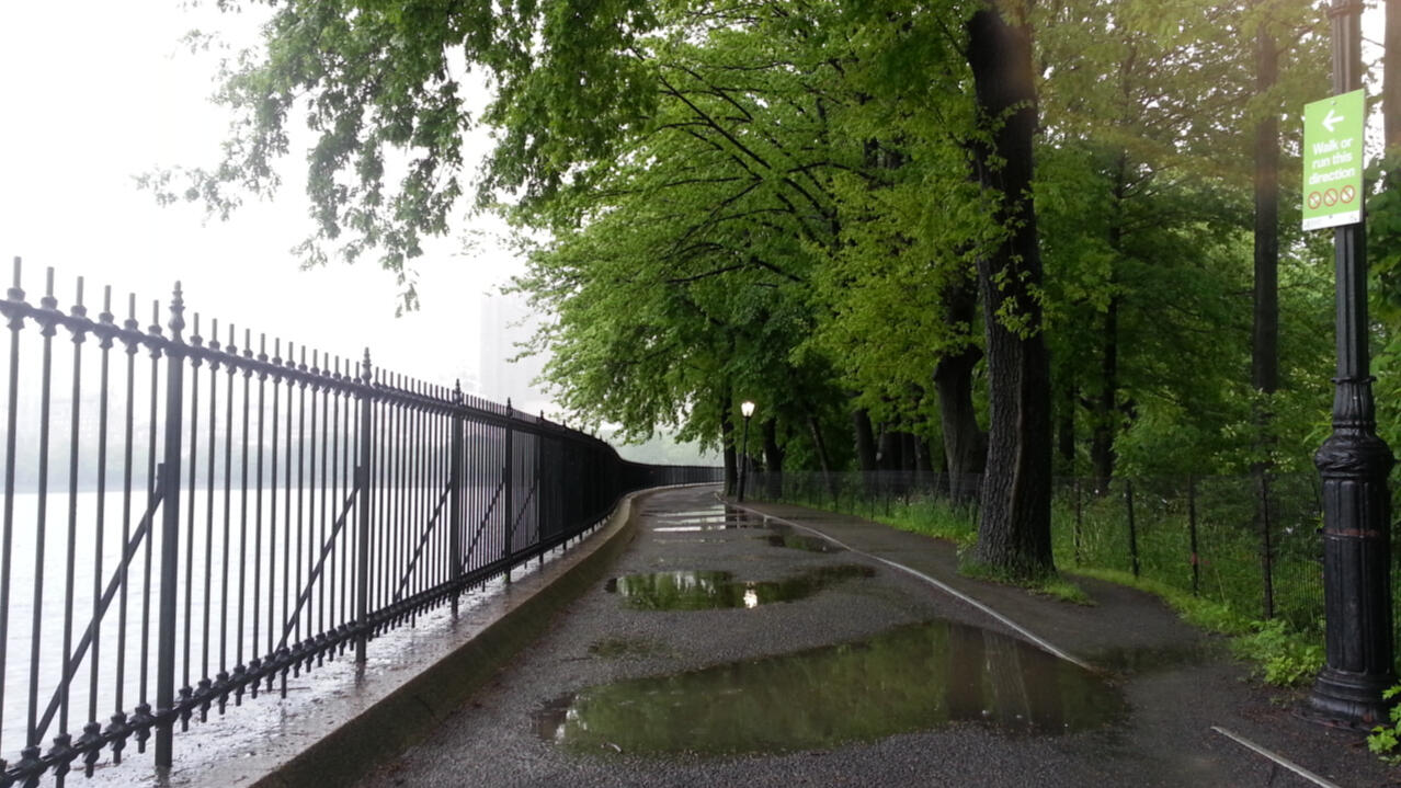 central park 1
