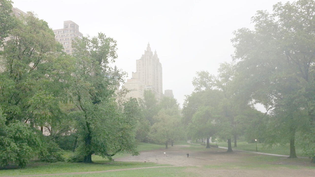 central park 2