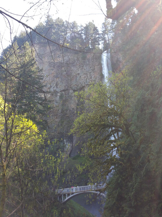 waterfall